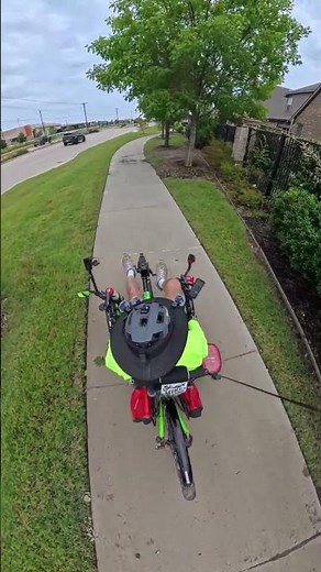 Bring Me a Shrubbery !!!