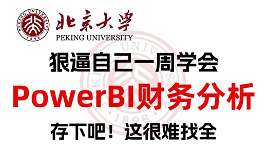 财务分析小白入门必看！这绝对是B站最全最详细的PowerBI财务分析教程，原理入门 项目实战，数分大佬花三小时讲透彻了！
