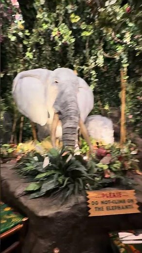 🇨🇦🐘 Rainforest Café Niagara Falls — Hyper-Realistic Elephants in the Jungle! 🌴🌧️✨