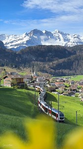 25K views · 7.1K reactions | It sprouts all around me! The rain has turned nature into lush green land! I love the smell of the flowers and the fresh air after the rain. I wish you all a beautiful Sunday! Video Sylvia Michel Photography | Sylvia Michel Photography | Facebook