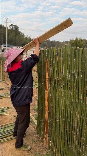 DIY Tutorial how to build a bamboo fence step-by-step.