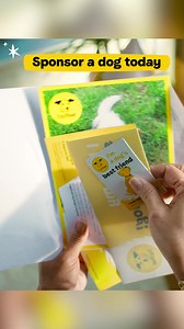 For as little as £1 a week 🎅❤️ help dogs feel loved, safe and cherished this festive season. | Dogs Trust