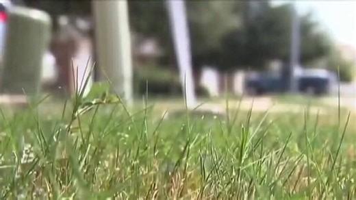 Water shortage becoming crisis in Hays County