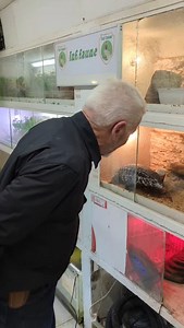 149K views · 6.6K reactions | Le Teju à faim  #inffaune #crocodile #video #reptile #grandrex #paris #aligator #reptile #serpent #animaux #animal #animals #venom #venomous #snake #venomoussnake | Inf-faune | Facebook