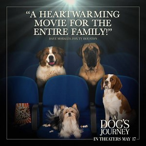 2.1K reactions · 234 shares | Rave reviews are in! "Four paws up!" #ADogsJourney is in theaters FRIDAY! | A Dog's Journey | Facebook
