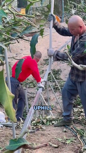 Brilliant Hillside Farming Innovation You’ve Never Seen Before