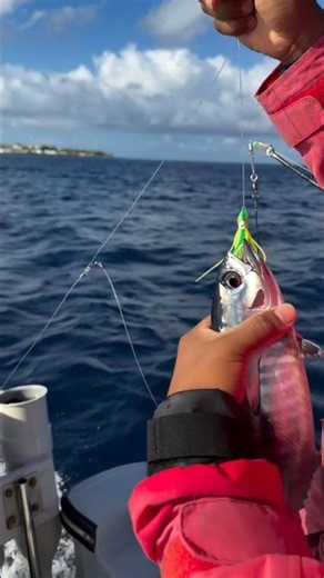Ultimate live bait setup: How Tuna Tubes work! #fishing #shorts
