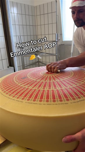 TikTok - Make Your Day