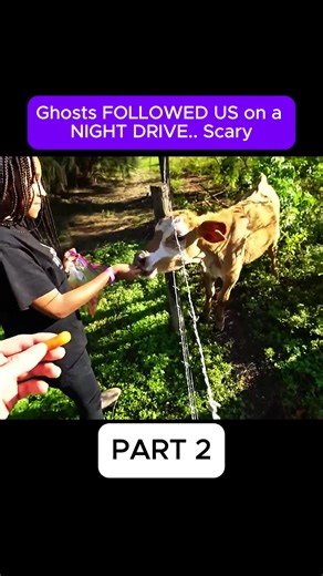 Exploring Family Life: A Day in Our Vlog