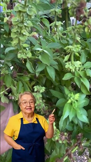 🌿 Take This In The Morning And Say Goodbye To Stress And Anxiety! #shorts