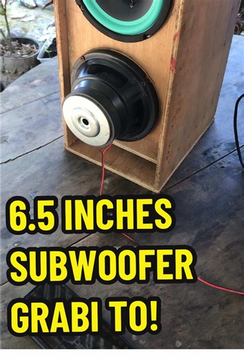 Build Your Own Subwoofer Speaker: A DIY Guide