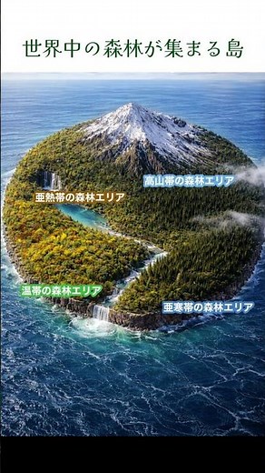 【世界中の森林が集まる島】〜高山帯の森林編〜 #リラックス #癒し動画 #自然風景 #自然 #森林浴