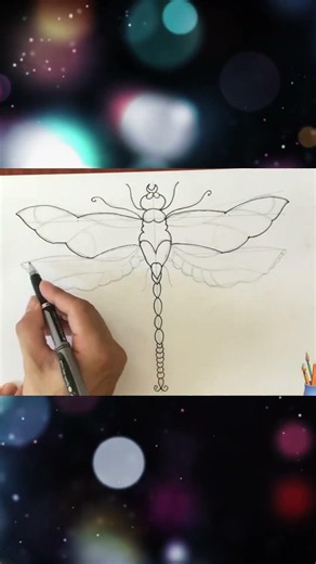 Vẽ họa tiết chuồn chuồn