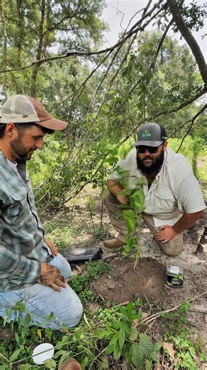 Planting Mulberry Trees with Farmer Froberg | Texas Garden Guy