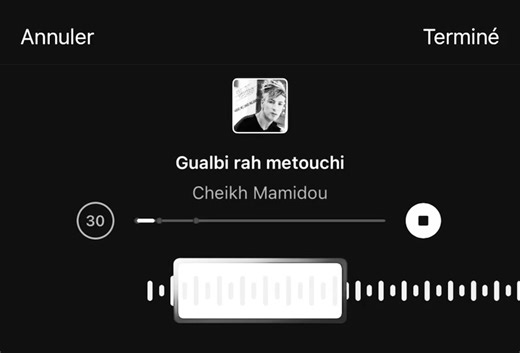 Cheikh Mamidou: Algeria and Morocco Connection 2023