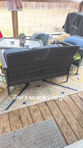 Attack of the June Bug