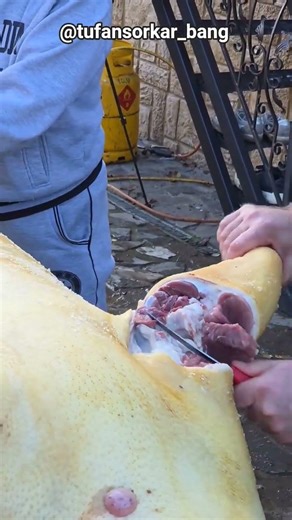 Traditional Pig Butchery in Romania: Expert Leg Removal Techniques
