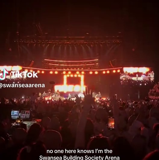 thx for the inspo @IcelandFoods 🤠 @O2 can we be besties now?👀 #pitbull #mrworldwide #pitbullconcert #fyp #pitbullsoftiktok #o2 #mr305