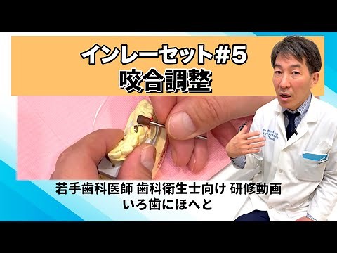 【歯科医院】研修動画│インレーセット#5「咬合調整」