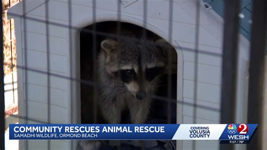 Wildlife rescue in Ormond Beach races to build new sanctuary after facing foreclosure