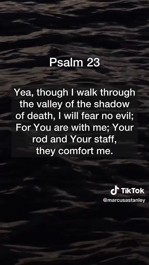 The Lord is My Shepherd - Psalm 23 | Rest and Peaceful Guidance