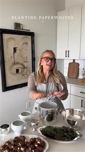 Brandy Jackson on Instagram: "Planting Paperwhites bulbs ✨ The easiest indoor flowers for Winter!"