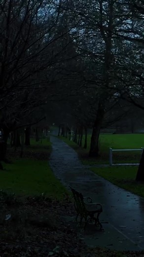 #vibes #rain #calm #fyp #foryou | Vibe Videos