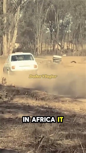 The Car That Conquered Africa 🌍🚗 #automobile #classiccars #history #cars