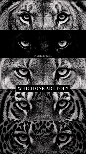 5 Predators, 1 Heart: Which Gaze Are You? 👁️ #shorts