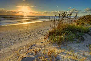 A Day On The Beach | Daytona Beach Handicap Accessible