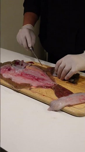 Smørstegt helleflynder med gulerod og hollandaise