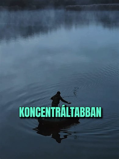 Mennyi bojli kell etetésre? 🎯 Négy dolog dönt: vízméret, halmennyiség, évszak, vízhőfok plusz természetes kaja. Hidegben kevesebb, melegben több, de mindig kontrolláltan ugyanarra a pontra. #antalbalazs #carpgiant #customline #carpfishing #pontyhorgaszat #bojli #etetes #baiting #vizhofok #hidegviz #rigtippek #kapás #bojlisHorgászat #carpbait #baitingstrategy
