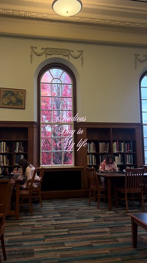 Exploring My Local Library: A Study Vlog Experience