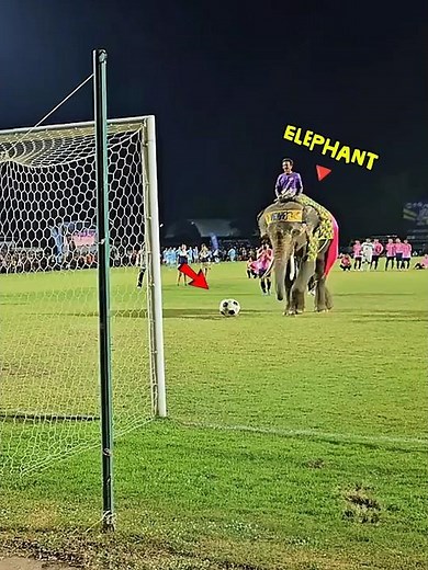 Strange Moments in Football 👉PART 1