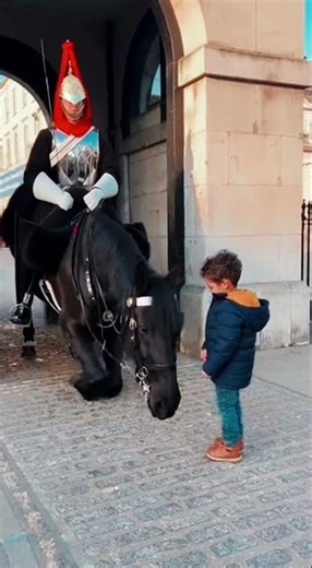 Little Girl’s Sweet Moment with a Royal Guard’s Horse 🐴💛