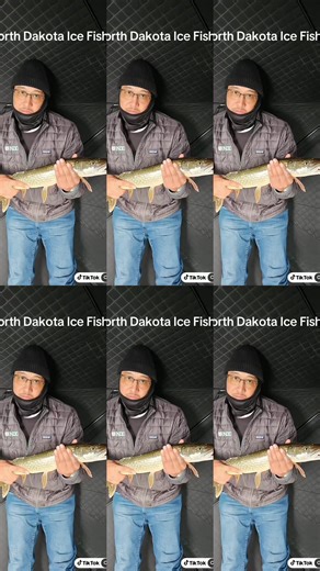 North Dakota Pike Fishing on Lake Darling #icefishing #fish #fishing #winter #fun