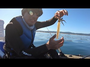 Catch and Cook Squid (SUPER DELICIOUS and SUPER FRESH Fried Calamari)