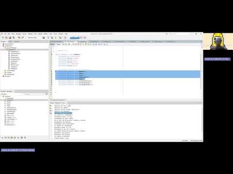 Explicacion de Pokemon en NETBEANS