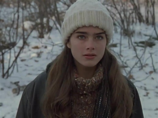 Endless Love 1981 Movie: Brooke Shields & Martin Hewitt