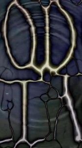 The wait is over, our general ticket sale is now live and we can’t...