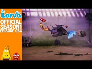 [Official] Typhoon 1 - Larva Season 1 Episode 34