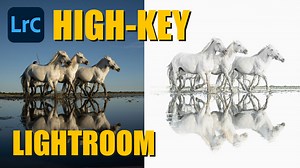 Comment créer une photo HIGH-KEY dans LIGHTROOM 2023