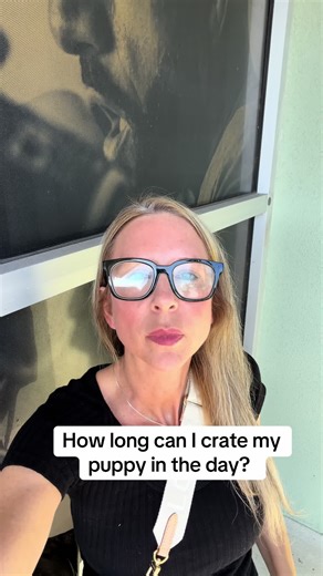 #fyp #dogtrainer #newpuppy | puppy