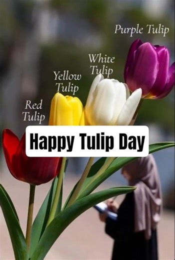 Tulip Day 17 January in 60 Seconds – A Festival of Colors & Love #tulipfields #tulipday #17january