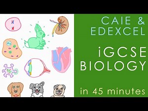 All of iGCSE BIOLOGY (CAIE & Edexcel) - Science Revision