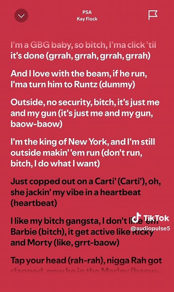 AudioPulse on TikTok