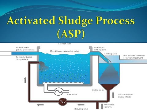 Activated Sludge Process | Suspended Growth Process