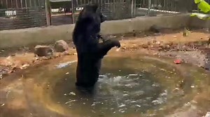 382K views · 10K reactions | EXCITING NEWS! Do you remember the moon...