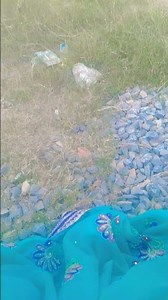 #song #bhojpuri #khesari #bhojpurisong #bhokpurigana #love #funny #bhojpurimusic #bhojapurih🙏🙏