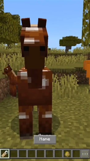 Every Name Tag Easter Egg in Minecraft